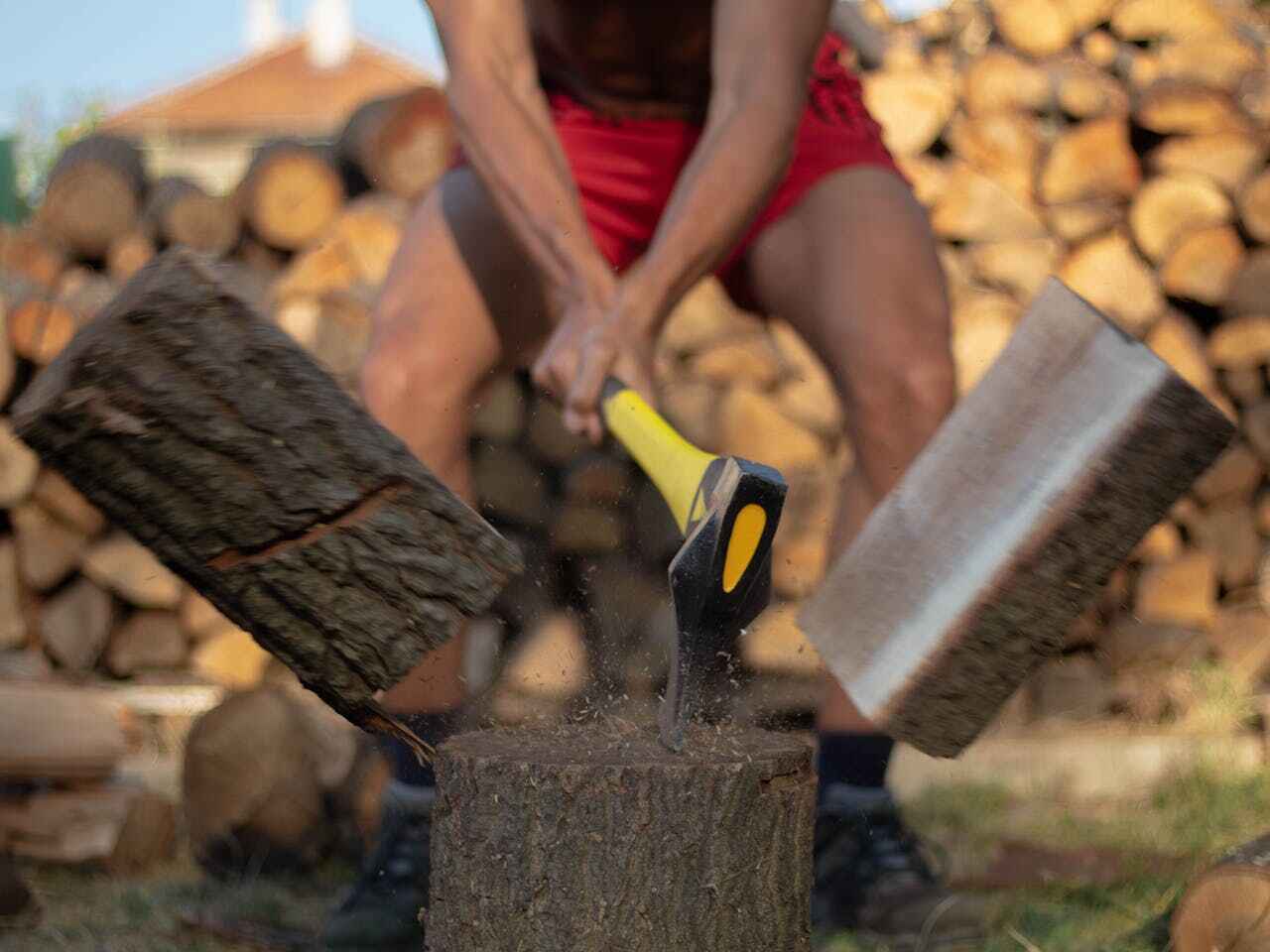  Butte, MT TreeGuard Tree Service Pros